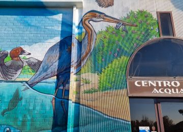 Photo of a detail of Chus’ Lagoon mural