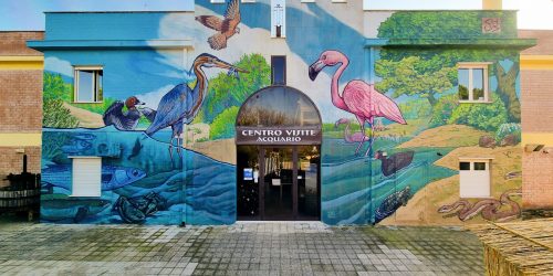 Lesina: Life of the Lagoon
