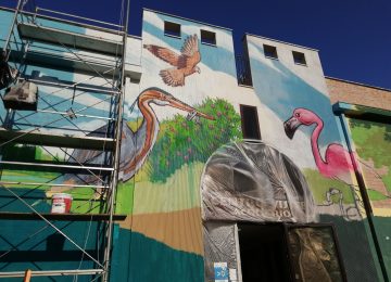 "Life of the lagoon” mural by Chus, work in progress photo