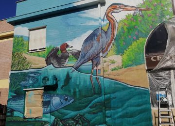 "Life of the lagoon” mural by Chus, work in progress photo
