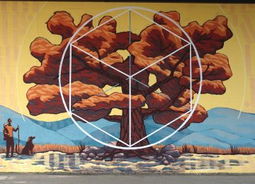 Photo of a detail of the oak tree and the platonic geometry from the mural “terra”, by Chus and Ivan Tresoldi
