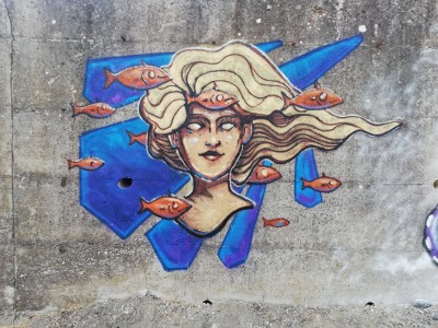 Mural portraying a girl face surrounded by fish Street Art by Chus in Pieve Santo Stefano Toscana Italia